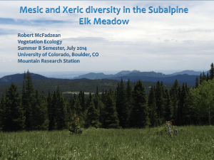 Plant Species Diversity in the Subalpine Elk Meadow