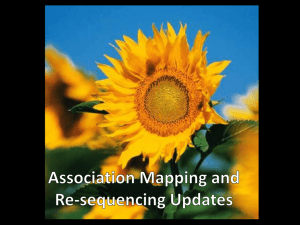 Association Mapping and Re-sequencing Updates
