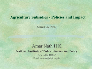 National Institute of Public Finance and Policy
