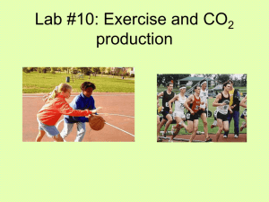 Lab: Exercise and CO2 production