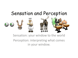 Sensation and Perception - AP Psychology Community