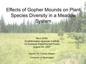 The Effects of Gopher Mounds on Plant Diversity in a Meadow System
