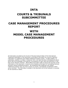 Report on Model Case Management Procedures