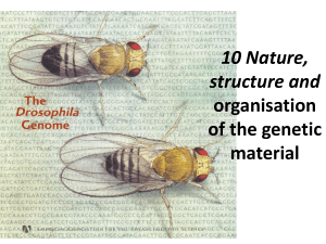10 Nature, structure and organisation of the