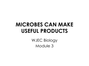 MICROBES CAN MAKE USEFUL PRODUCTS