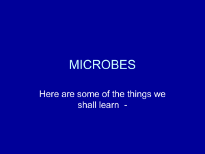 microbes - Primary Resources