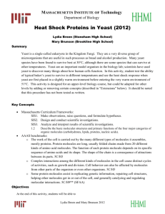 Yeast response to heat