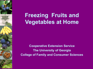 Freezing Fruits and Vegetables - National Center for Home Food