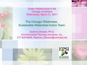 Chicago Wilderness' Sustainable Watershed Action Team (SWAT)