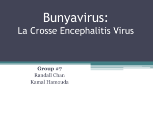 CS7 Bunya Virology Case Study Group _7 Final Version (3)