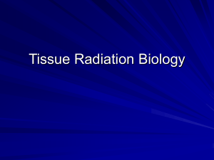 Tissue Radiation Biology lecture 2