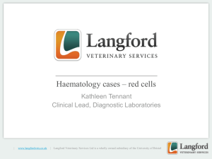Haematology cases * red cells