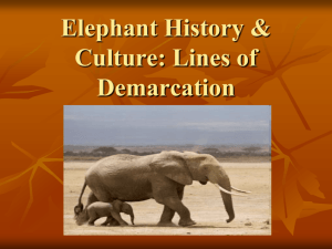 Elephant History & Culture