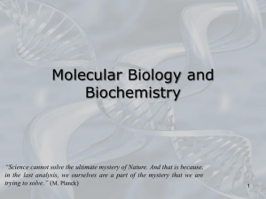Molecular Biology and Biochemistry