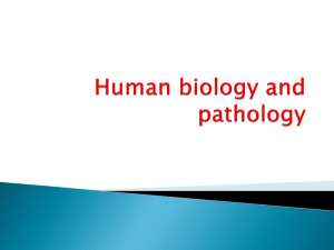 Human biology and pathology