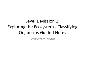 L1.M1.PP.EcosystemNotes