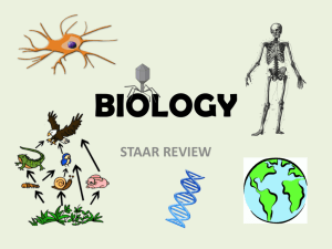 biology - FISD Teacher Web Sites