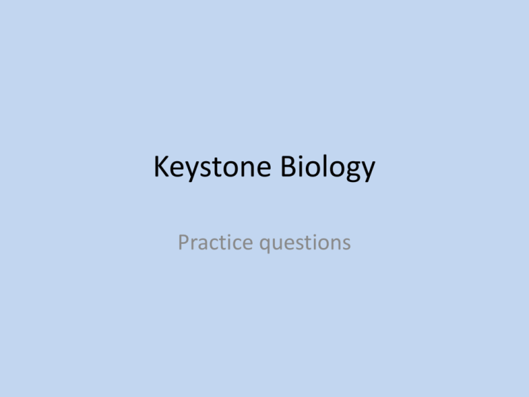 Keystone Biology