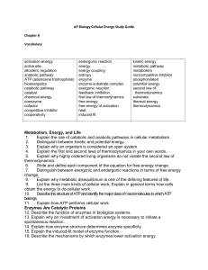 AP Biology Cellular Energy Study Guide Chapter 8 Vocabulary