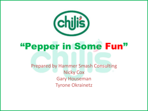 Business Plan for Chili*s Franchise
