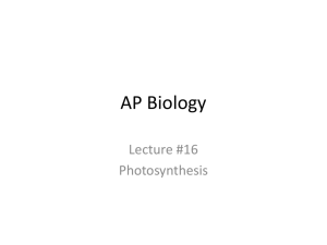 AP Biology - NGHS