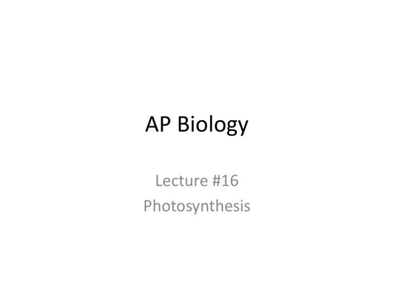ap-biology-nghs