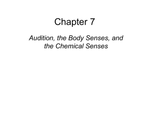Audition, the Body Senses, and the Chemical Senses