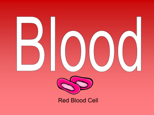 Blood PowerPoint Presentation blood09-10