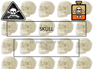 Skull Presentation