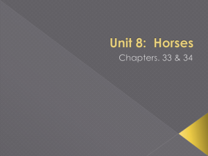 Unit 6: Horses
