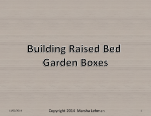 Building Raised Bed Garden Boxes