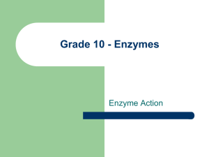 Enzyme Action - Teaching Biology Project