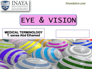EYE & VISION - INAYA Medical College