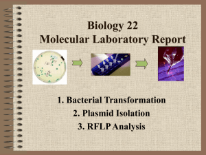 Biology 6B Laboratory Report II