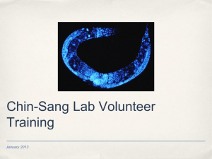 Chin-Sang Lab Volunteer Training