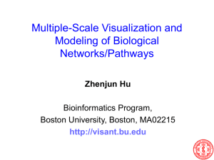 Advanced graphs & multiscale visualization & modeling