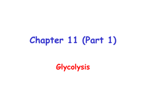 Chapter 11 (Part 1)