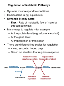 Regulation of Glycolysis - Valdosta State University