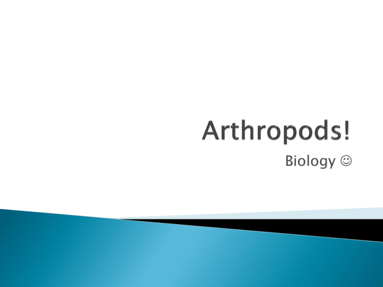 arthropods