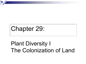 29 Plant Diversity