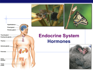 Endocrine Strachan 14-15