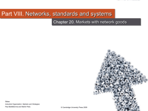 Chapter 20 - Markets for several network goods