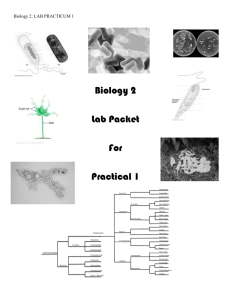 Bio 2 Lab Packet I (Spring 2013)