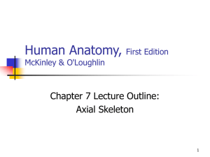Human Anatomy, First Edition McKinley&O