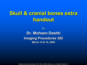 Skull & cranial bones extra handout