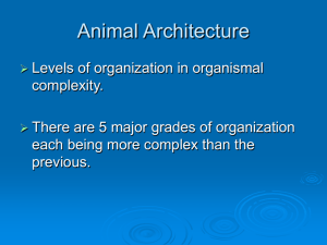Topic 2. Animal Architecture
