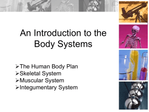 Body Systems Intro