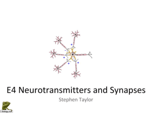 action potentials and synapses