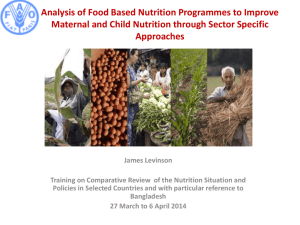 Analysis of Food Based Nutrition Programmes to Improve Maternal