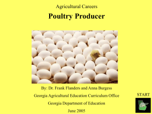 Becoming a Poultry Producer